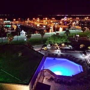 Meet your Posher, Priscilla